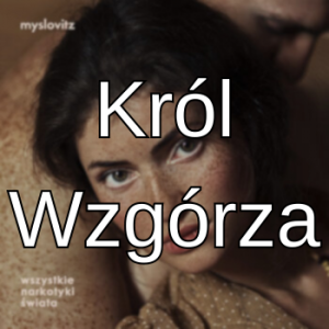 10 Wn04 — myslovitz all songs option 15