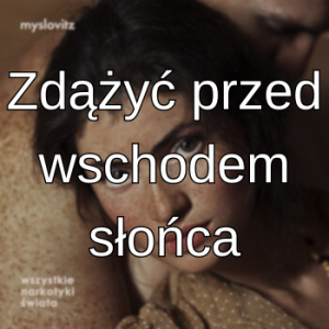 10 Wn08 — myslovitz all songs option 19