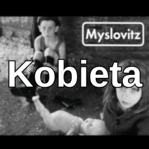 7 St01 — myslovitz all songs option 94