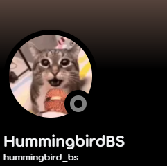 Zzzzz 1726422422hummingbird — Slump Members option 18