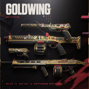 Goldwing — VALORANT Battlepasses 12/3/24 option 26