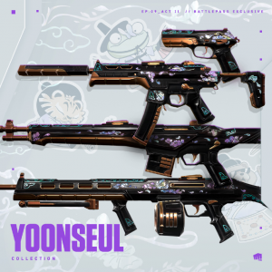 Zzzzz 1733967642yoonseul — VALORANT Battlepasses 12/3/24 option 77