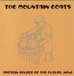 Ranking The Mountain Goats Albums — option 7