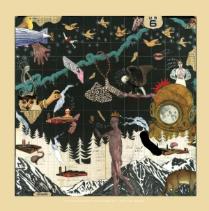 Ranking The Mountain Goats Albums — option 17