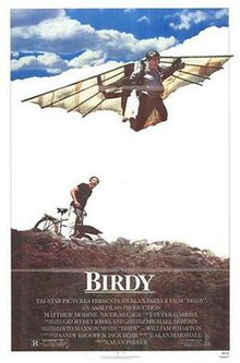 Birdyver1 — Nicolas Cage Films option 11