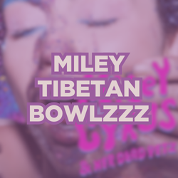 Zzzzz 176678669493 — Miley Cyrus Songs option 93