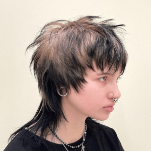 100 Women Haircuts — option 56