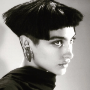 Zzzzz 175841468118 — 100 Women Haircuts option 112