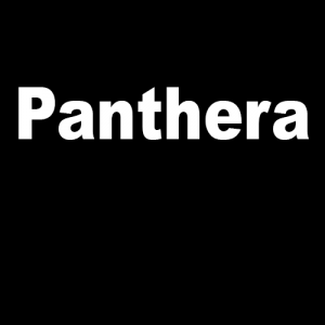 Panthera — Type Soul Shikai/Res/Schrift option 27