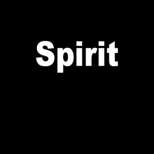 Spirit — Type Soul Shikai/Res/Schrift option 34
