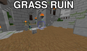 Grass Ruin — Hypixel Skyblock Dungeon Room Tier List option 49