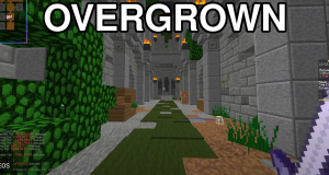 Overgrown — Hypixel Skyblock Dungeon Room Tier List option 81