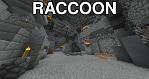 Zzzzz 1719388458raccoon — Hypixel Skyblock Dungeon Room Tier List option 94