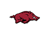 Arkansas 100x71 — CFB P5 Teams option 4