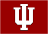 Indiana 100x71 — CFB P5 Teams option 20
