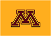 Minnesota 100x71 — CFB P5 Teams option 32