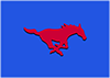 Smu 100x71 — CFB P5 Teams option 50