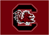 South Carolina 100x71 — CFB P5 Teams option 51
