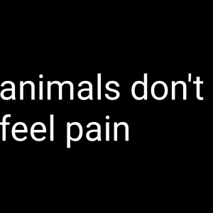 Addtext07 07 085446 — ULTIMATE ANTI-VEGAN ARGUMENTS TIER LIST option 29
