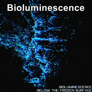 Zzzzz 1720611051bioluminescence — Animadrop's tracks option 97