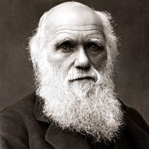 Zzzzz 1721424532gettyimages 79035252 — Various Philosophers and Thinkers option 188