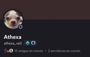 el templo (discord) edición Nov/2024 — option 1