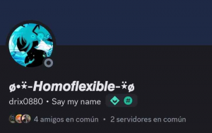 el templo (discord) edición Nov/2024 — option 19