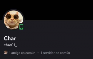 el templo (discord) edición Nov/2024 — option 24