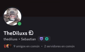 el templo (discord) edición Nov/2024 — option 31