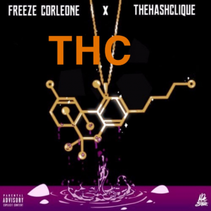 Zzzzz 1721052352img4782 — Freeze Corleone Discographie option 29