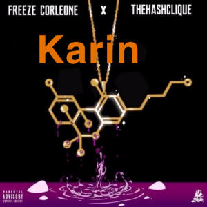 Zzzzz 1721052353img4783 — Freeze Corleone Discographie option 30