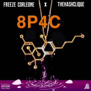 Zzzzz 1721052353img4784 — Freeze Corleone Discographie option 31