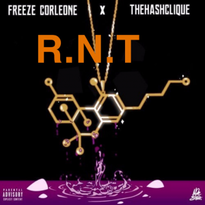 Zzzzz 1721052353img4786 — Freeze Corleone Discographie option 33