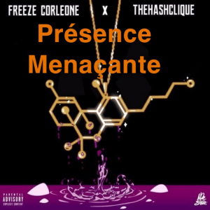 Zzzzz 1721052353img4789 — Freeze Corleone Discographie option 36