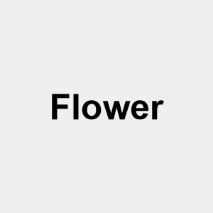 Image 4 — TYPE://SOUL Shikai option 10