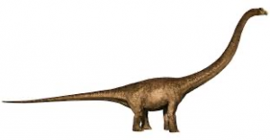 Img0287jpg — Jurassic world dinosaur’s I could beat. option 39