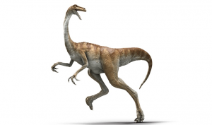 Img0297webp — Jurassic world dinosaur’s I could beat. option 47