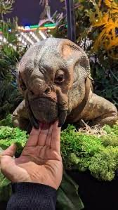 Img0319jpg — Jurassic world dinosaur’s I could beat. option 66