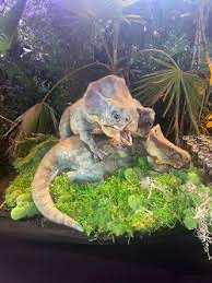 Img0320jpg — Jurassic world dinosaur’s I could beat. option 67