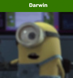 Darwinpng — Minions Tierlist option 36