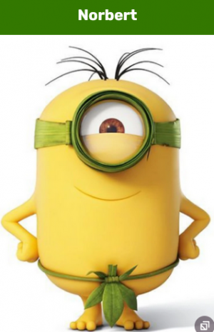 Norbertpng — Minions Tierlist option 129