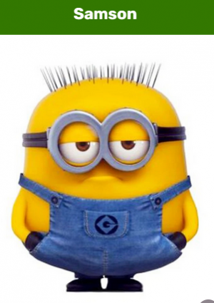 Samsonpng — Minions Tierlist option 152
