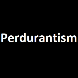 Zzzzz 1721485270perdurantism — Philosophical theories option 85