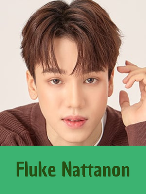 Fluke N — GMMTV 2025 ARTISTS option 30