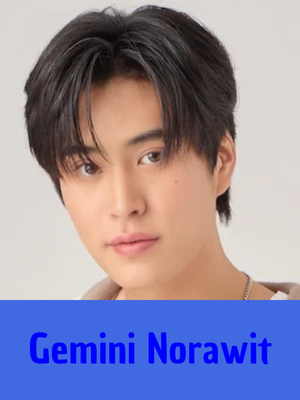 Gemini — GMMTV 2025 ARTISTS option 37