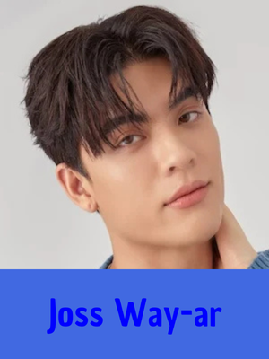 Joss — GMMTV 2025 ARTISTS option 57