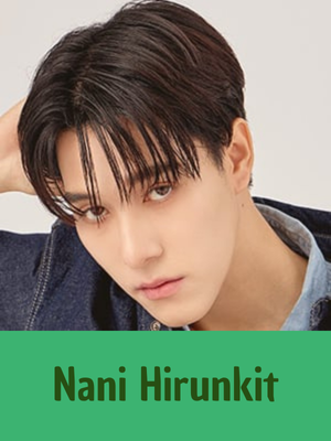 Nani — GMMTV 2025 ARTISTS option 89