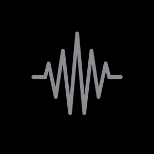 Zzzzz 1726085536100gigs — The 2024 Listening Project option 11