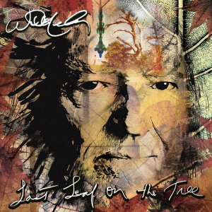 Zzzzz 1735235998lastleafonthetree — The 2024 Listening Project option 183