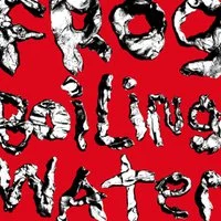 Zzzzz 1737318238froginboilingwater — The 2024 Listening Project option 400